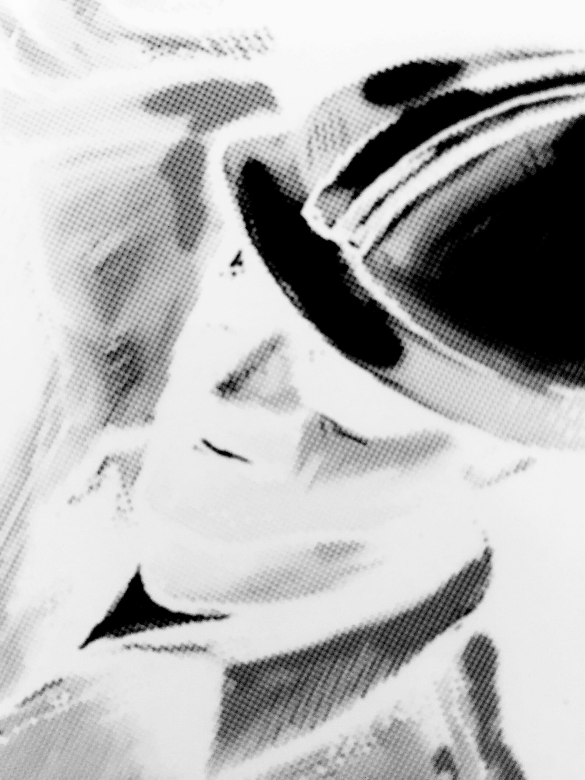 Screen printed halftones